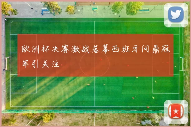 欧洲杯决赛激战落幕西班牙问鼎冠军引关注