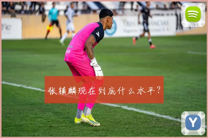 张镇麟现在到底什么水平？