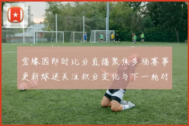 雪缘园即时比分直播聚焦多场赛事更新球迷关注积分变化与下一轮对阵