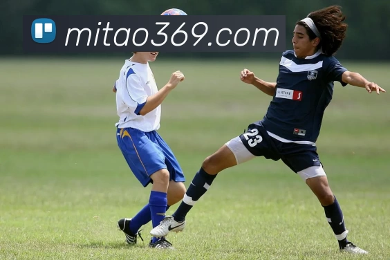 多媒体互动体验